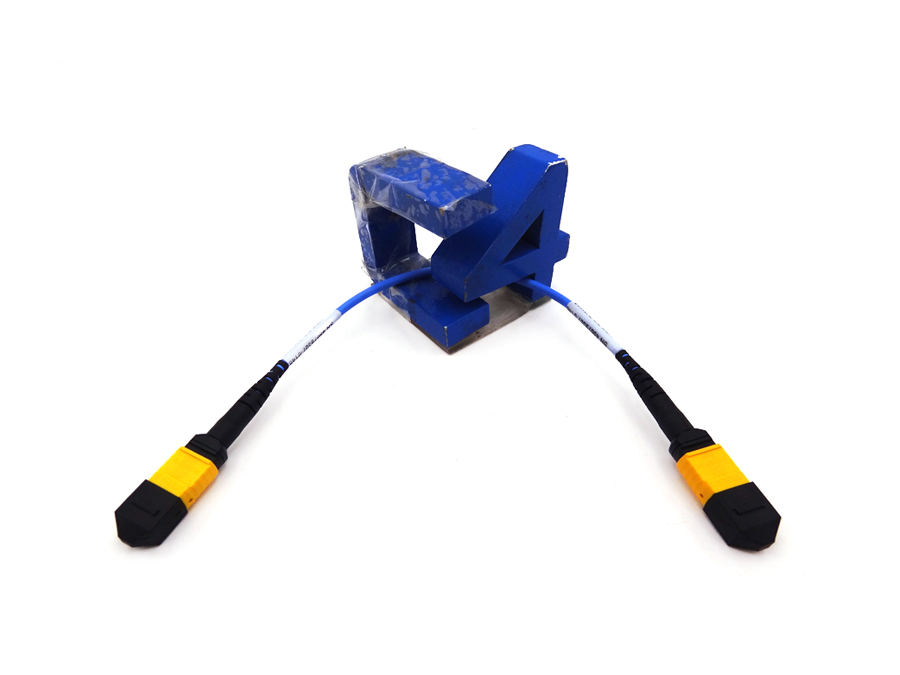 HP R1N44A 24 FIBER MPO 0.25M CABLE - P12497-001